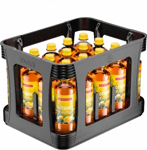 20 x 0,5 l PET